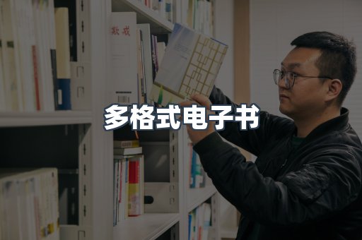 多格式电子书